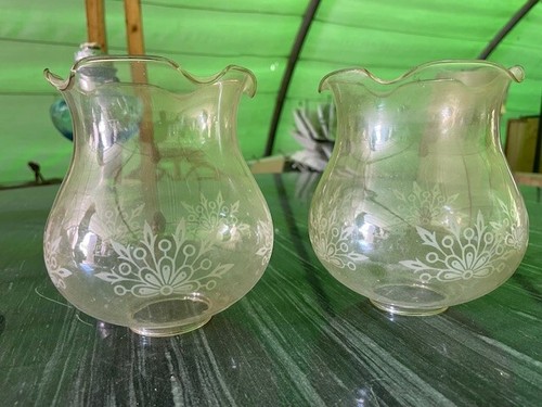 Paire globes tulipes verre - paire,