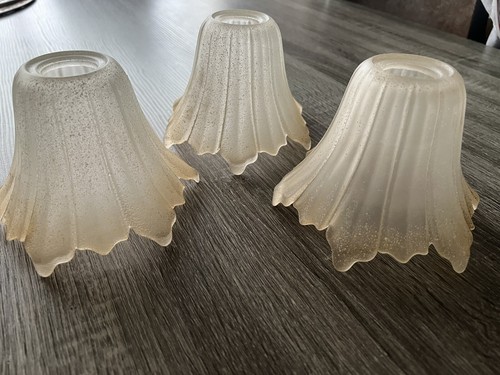 Tulipe globe verre - 3, en